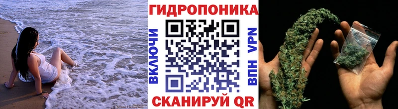 кракен ссылки  Белово  Бошки Шишки план 